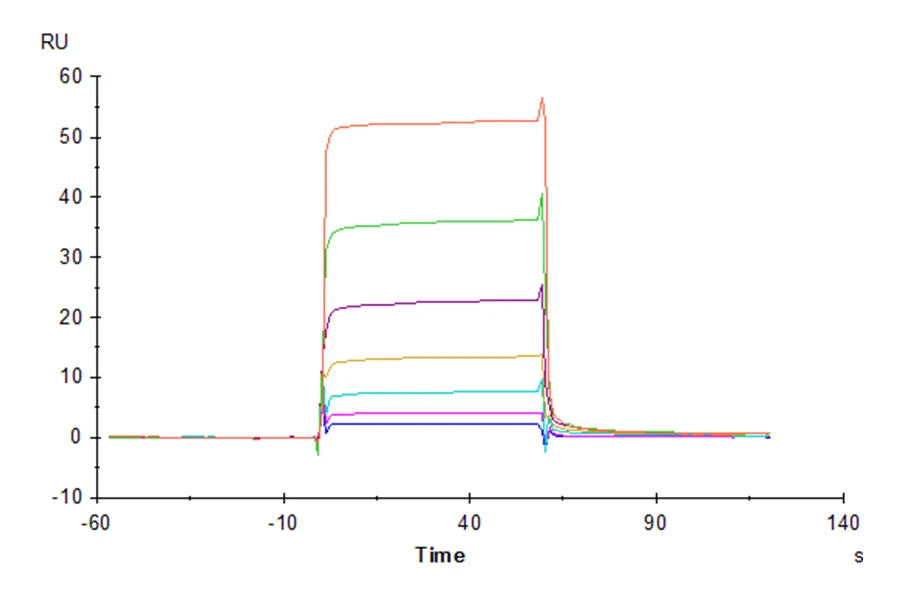 HLAE0103-HP002 SPR-2 result