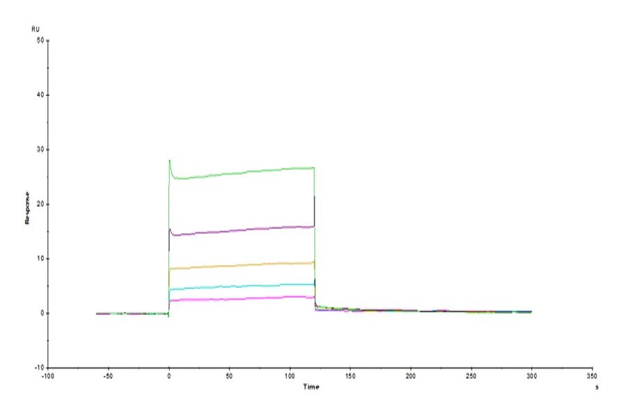 HLAG-HP005 SPR-2 result