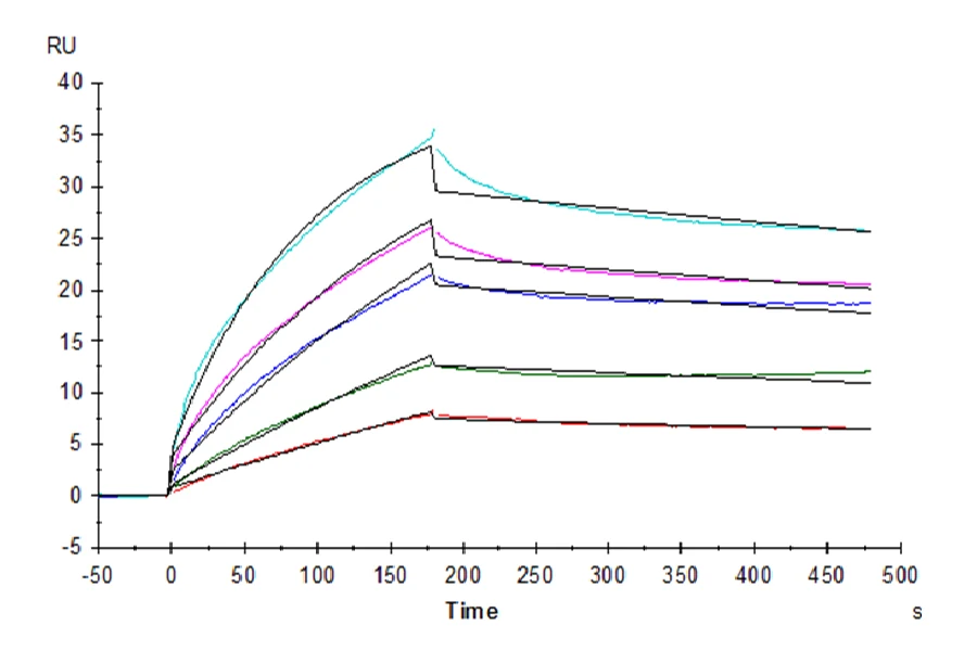 HLAG-HP005 SPR result