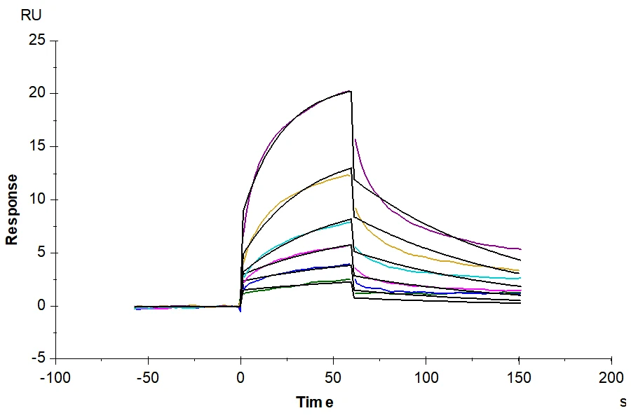 HMGB1-HB001 SPR result