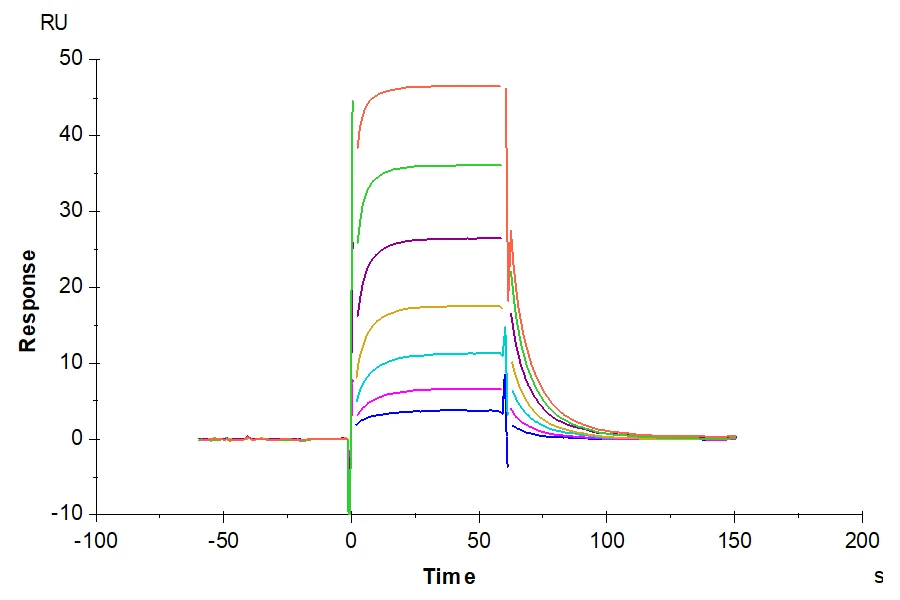 HVEM-HP002 SPR result