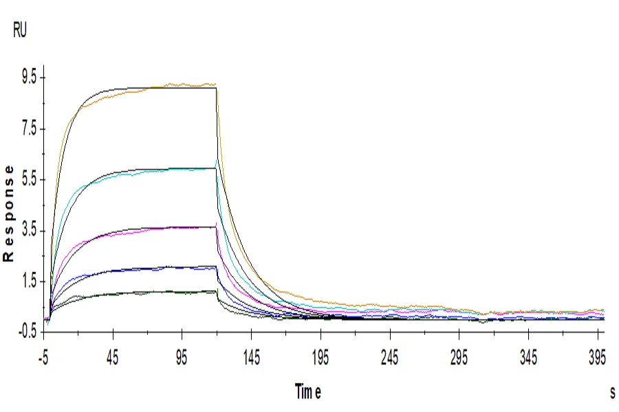 ICOSLG-HF001 SPR result