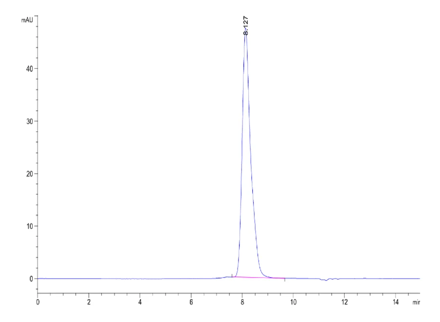 IFN-CB001 SEC-HPLC result