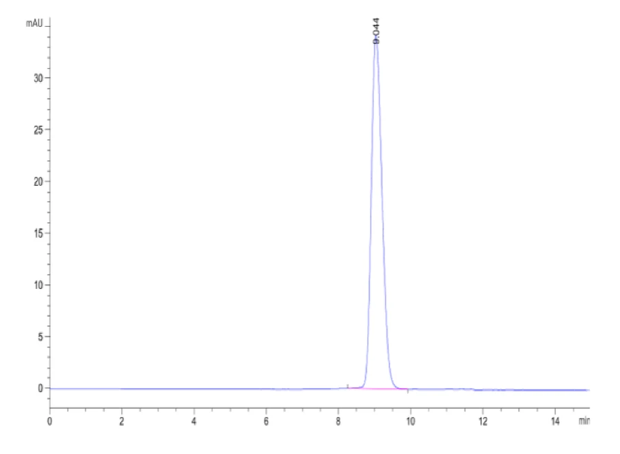 IFN-CB002 SEC-HPLC result