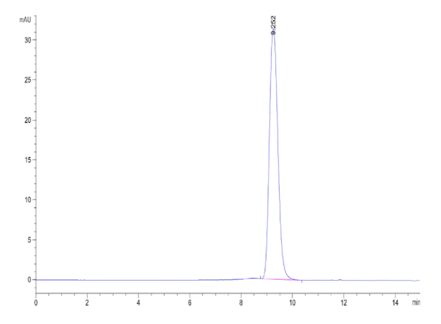 IFN-HB001 SEC-HPLC result