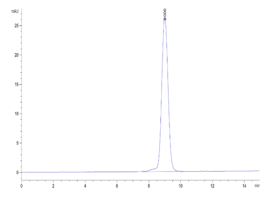IFN-MB001 SEC-HPLC result