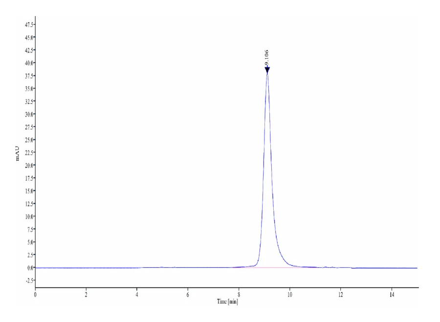 IGE-MB001 SEC-HPLC result