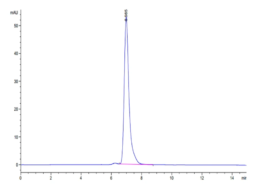 IGG1FC-HP002 SEC-HPLC result