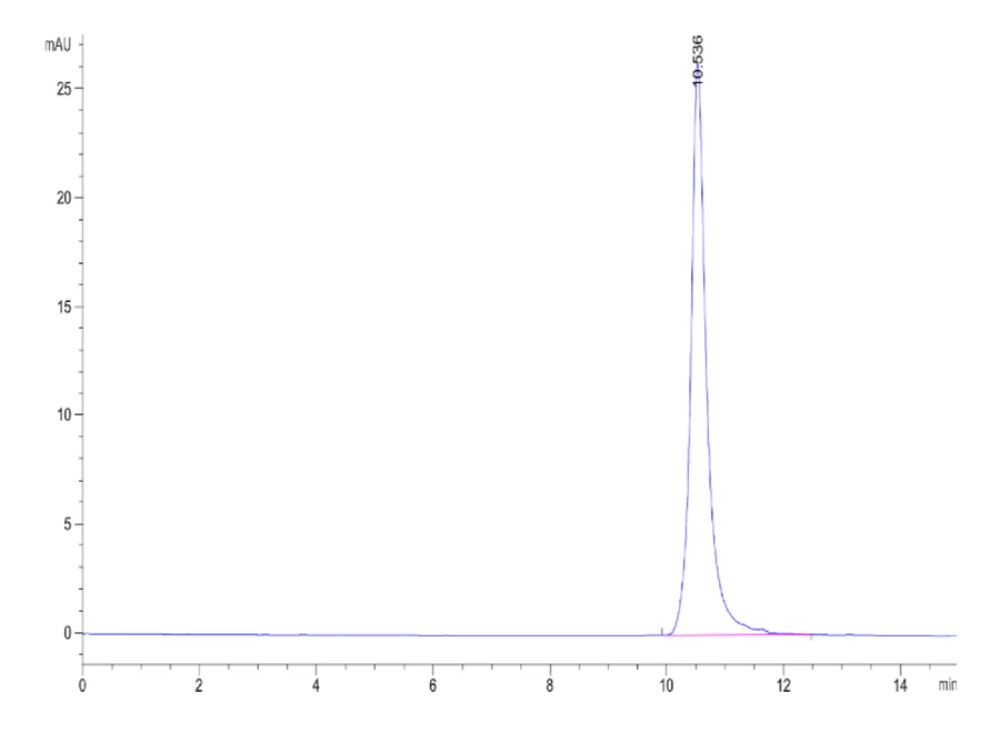 IL1-CB001 SEC-HPLC result