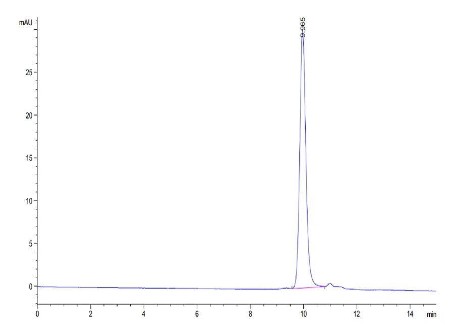 IL1-HB001 SEC-HPLC result