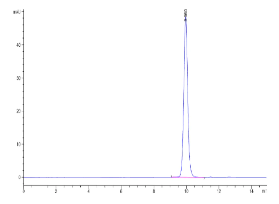 IL1-HB002 SEC-HPLC result
