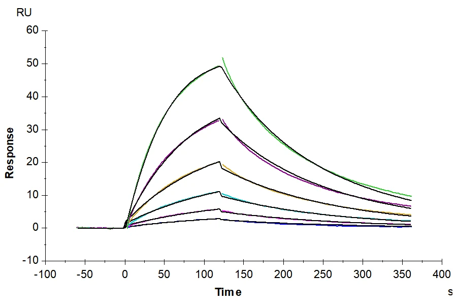 IL1-HB002 SPR result