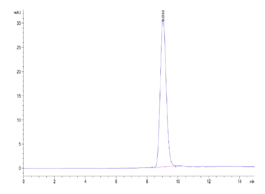 IL10-HB002 SEC-HPLC result