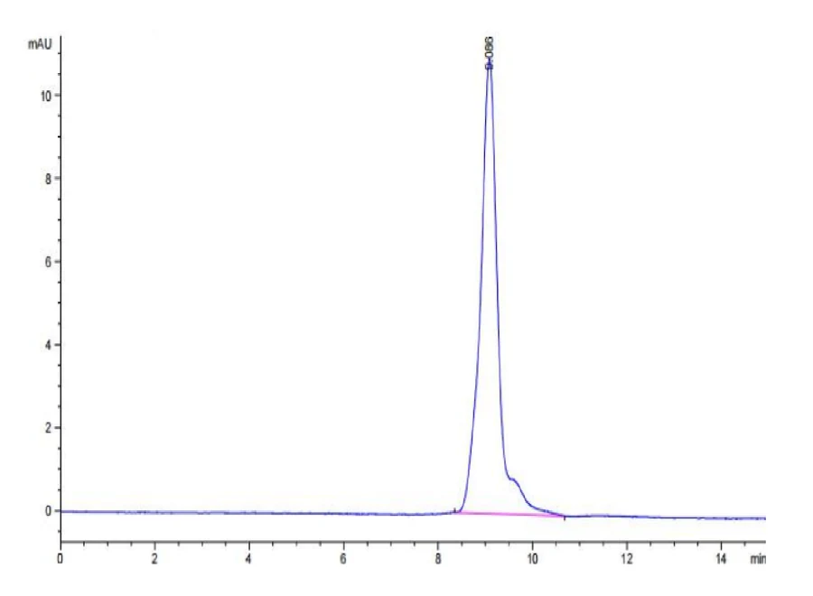 IL10-HP001 SEC-HPLC result