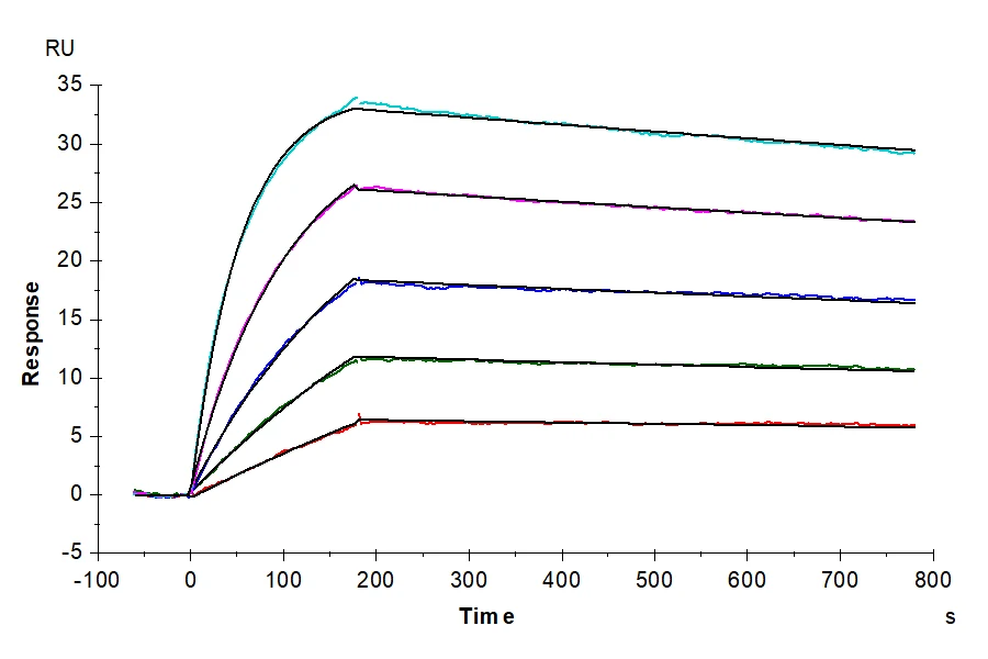 IL10-HP001 SPR result