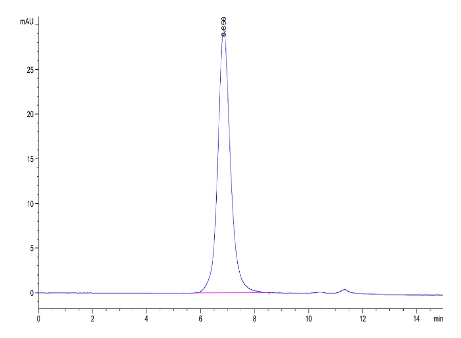 IL13RA1-HB003 SEC-HPLC result