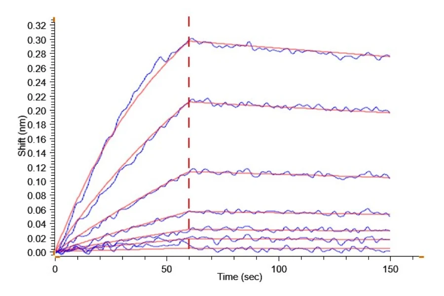 IL13RA2-RF001 BLI result