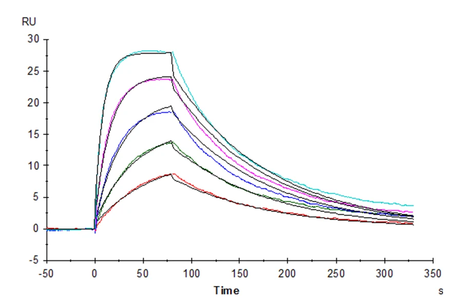 IL15-HP001 SPR result