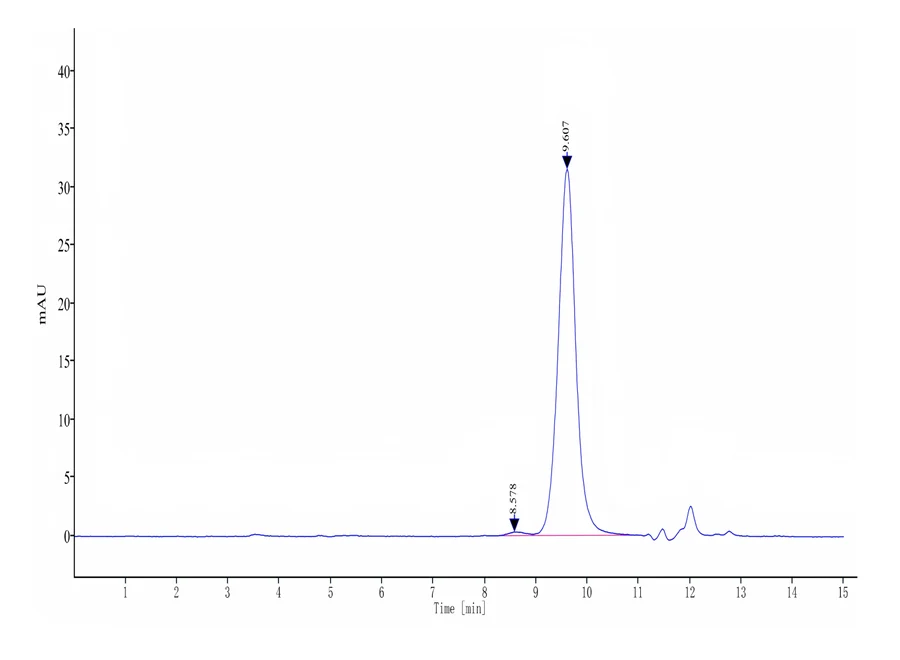 IL17AF-HB001 SEC-HPLC result