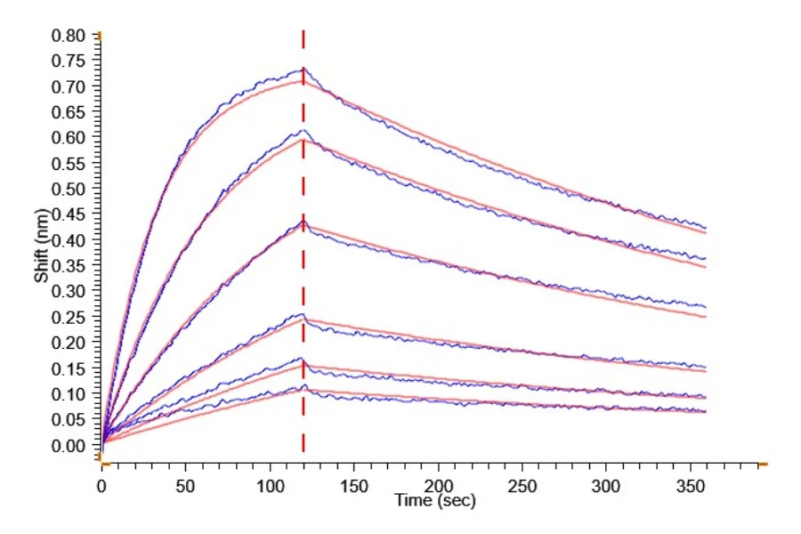 IL18-CB001 BLI result