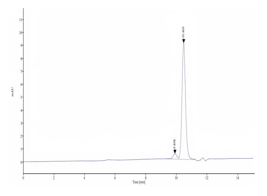 IL18-HB001 SEC-HPLC result
