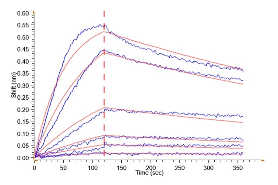 IL18-HB003 BLI result