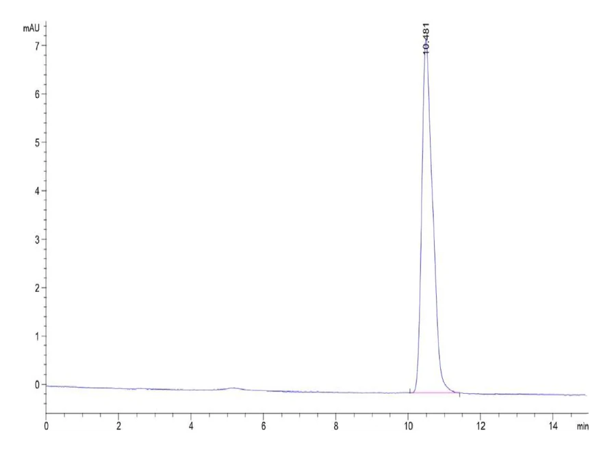 IL18-HP001 SEC-HPLC result