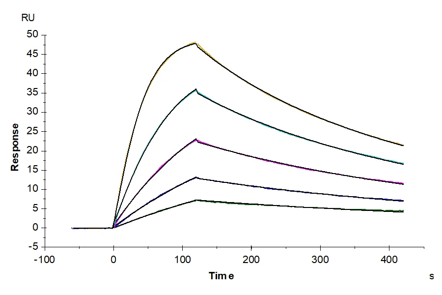 IL18-HP001 SPR result