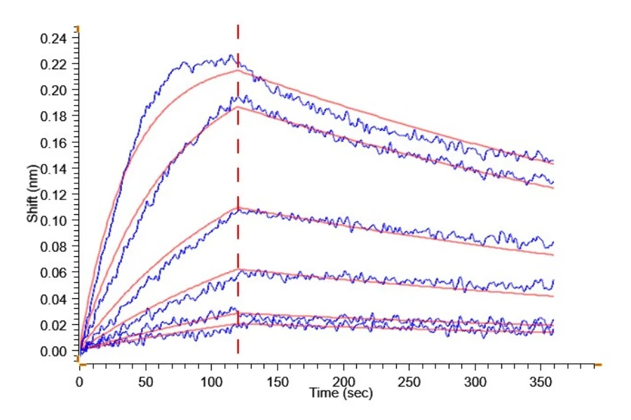 IL1A-HP001 BLI result