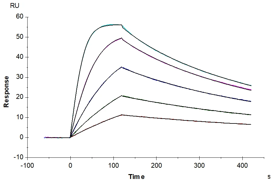 IL1A-HP001 SPR result