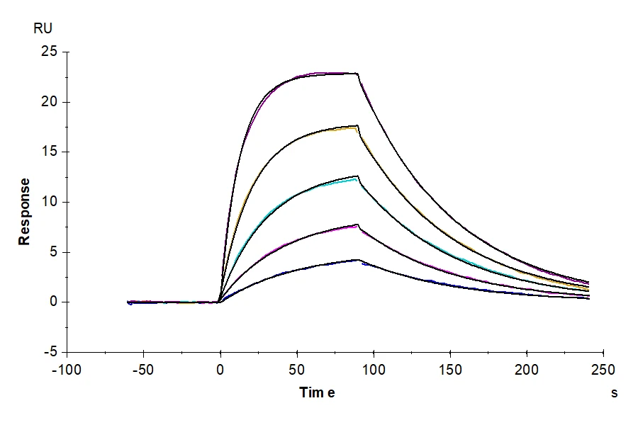 IL2-HB003 SPR-2 result