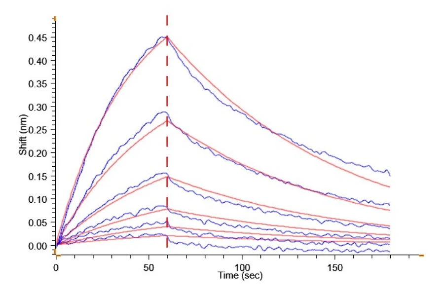 IL2-HB006 BLI result