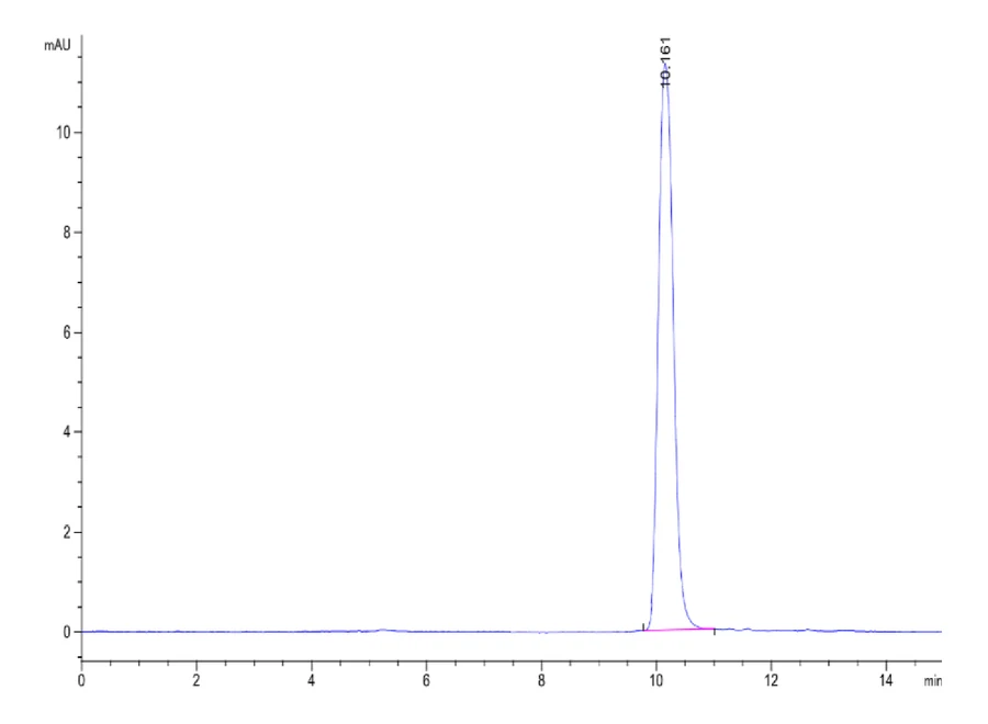IL2-HB006 SEC-HPLC result