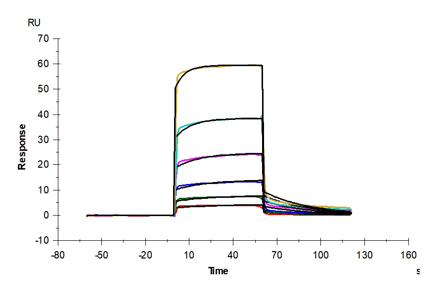 IL20RA-HF001 SPR result