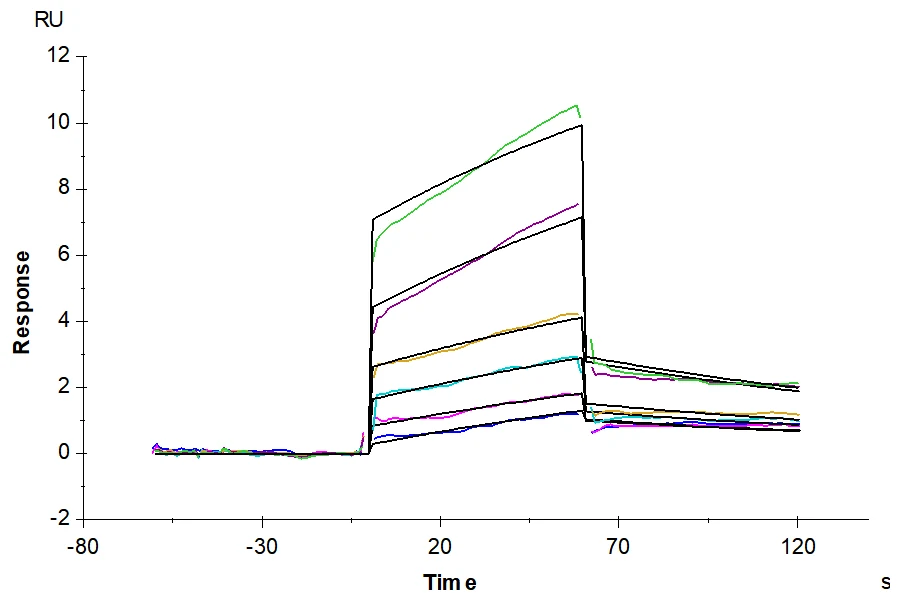 IL20RA-MF001 SPR result