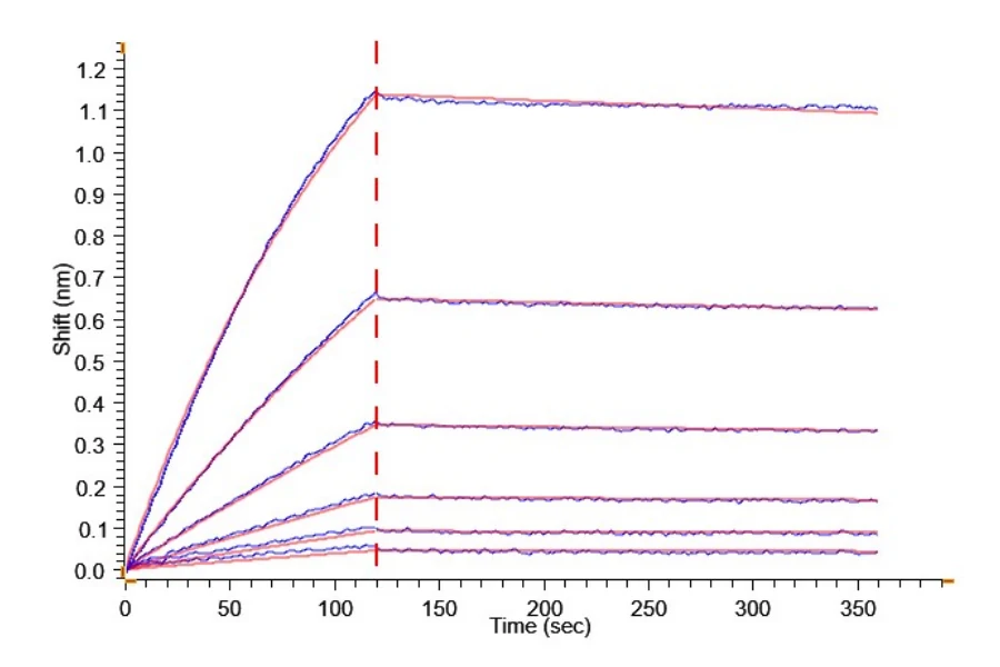 IL22RALPHA1-HF001 BLI-2 result