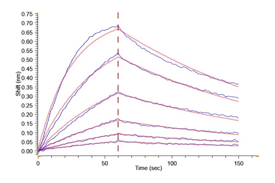 IL22RALPHA1-HF001 BLI result