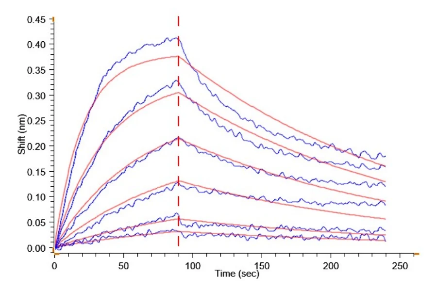 IL22RALPHA1-MF001 BLI result