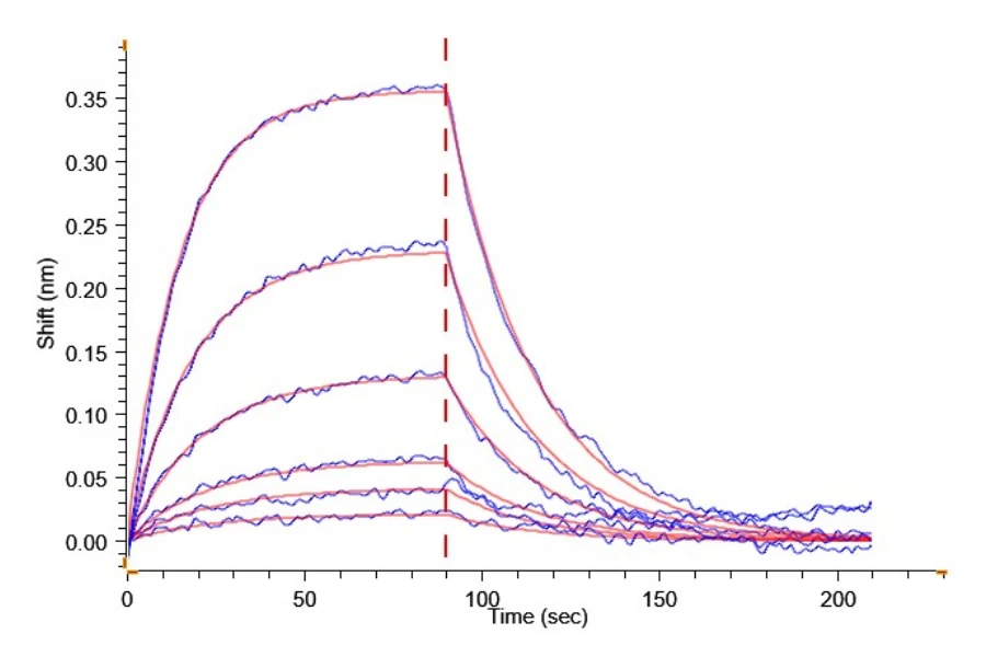IL22RALPHA1-RF001 BLI result