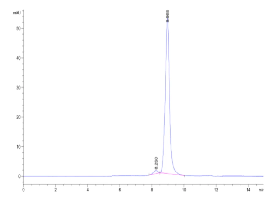 IL23-HB001 SEC-HPLC result