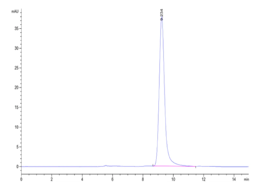 IL23-HB002 SEC-HPLC result