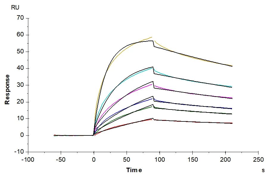 IL23R-HF001 SPR result