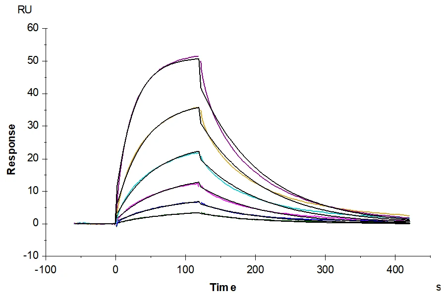 IL23R-HF002 SPR result