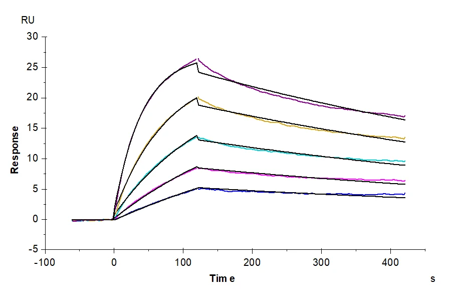 IL23R-HF003 SPR result