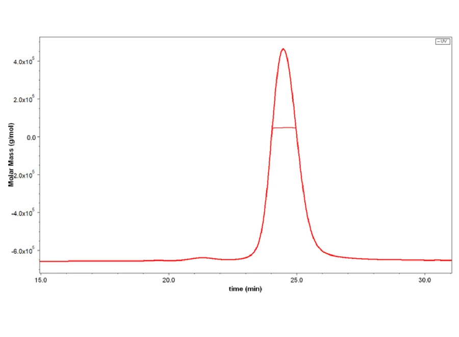 IL25-HB001 SEC-MALS result