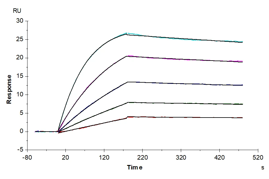 IL2RBIL2RG-HF001 SPR-2 result