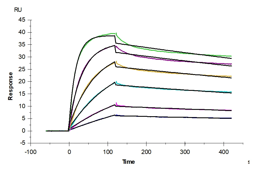 IL33-HP001 SPR result
