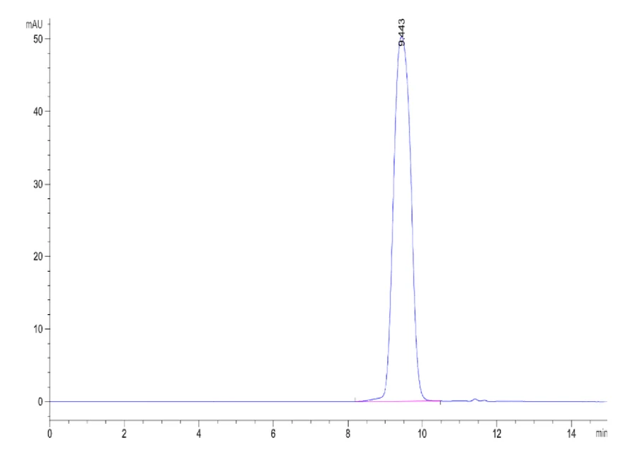 IL4-CB002 SEC-HPLC result