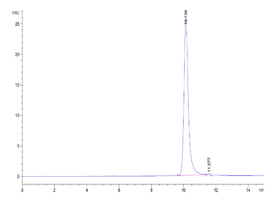 IL4-HB002 SEC-HPLC result