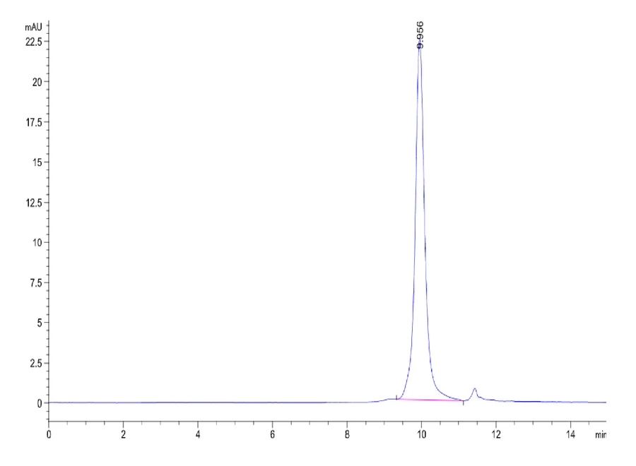 IL6-HB003 SEC-HPLC result